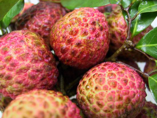 ���ͼ��鿴ԭʼ��С

����:  litchi02.jpg
�鿴����: 342
��С:  127.9 KB