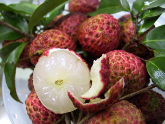 ���ͼ��鿴ԭʼ��С

����:  litchi03.jpg
�鿴����: 344
��С:  98.1 KB