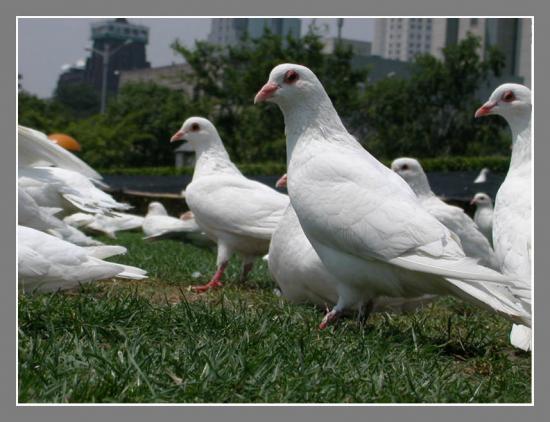 ͼ鿴ԭʼС

:  dscn0584.jpg
鿴: 427
С:  94.4 KB