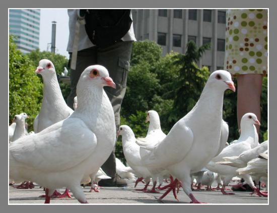 ͼ鿴ԭʼС

:  dscn0595.jpg
鿴: 403
С:  86.6 KB