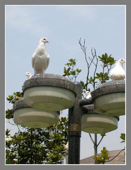 ͼ鿴ԭʼС

:  dscn0597.jpg
鿴: 401
С:  83.8 KB