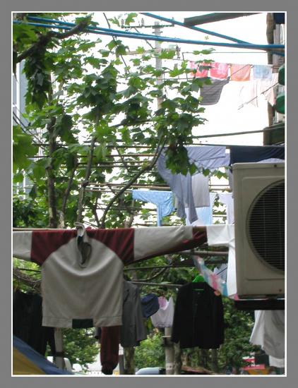 ͼ鿴ԭʼС

:  dscn0606.jpg
鿴: 410
С:  127.0 KB
