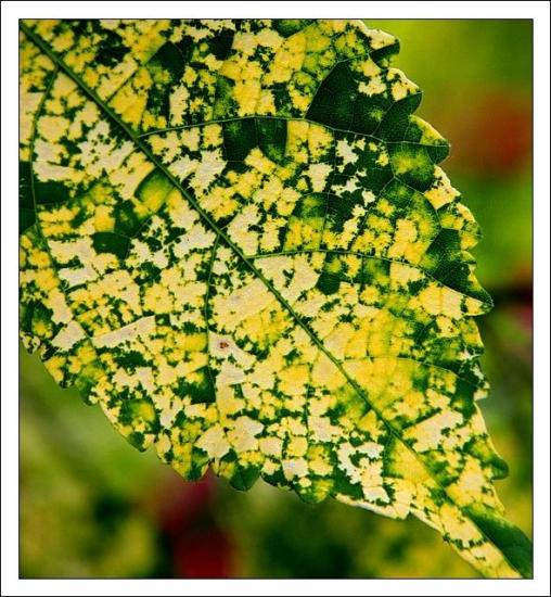 ���ͼ��鿴ԭʼ��С

����:  colour of autumn��������� i1.jpg
�鿴����: 317
��С:  98.6 KB