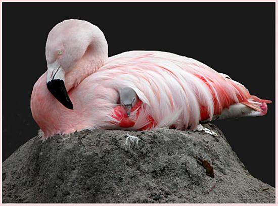 ���ͼ��鿴ԭʼ��С

����:  bird.jpg
�鿴����: 236
��С:  126.9 KB
