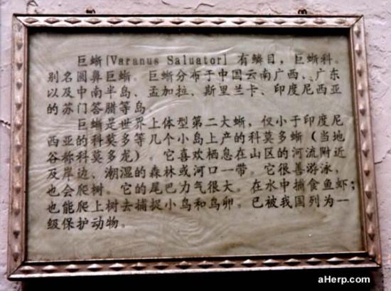 ���ͼ��鿴ԭʼ��С

����:  vsalvator_notice.jpg
�鿴����: 594
��С:  53.6 KB