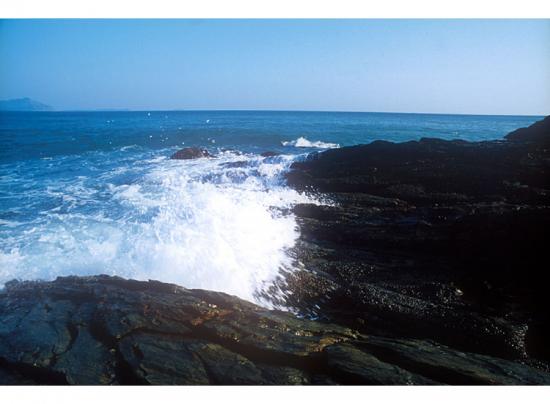 ���ͼ��鿴ԭʼ��С

����:  sea03.jpg
�鿴����: 801
��С:  87.3 KB
