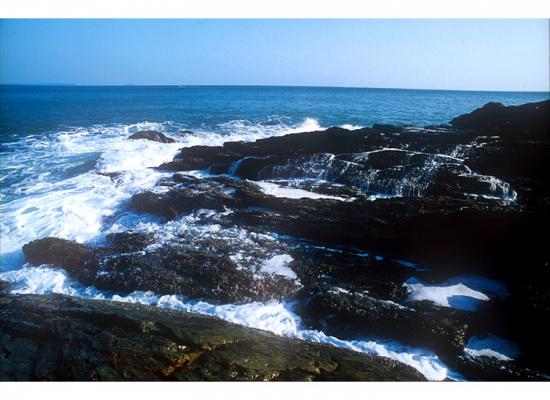 ���ͼ��鿴ԭʼ��С

����:  sea04.jpg
�鿴����: 790
��С:  119.0 KB