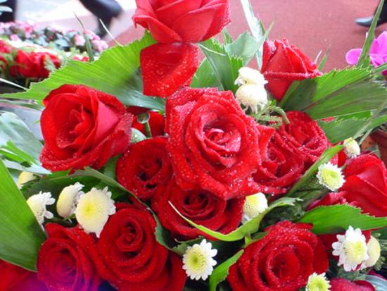 ���ͼ��鿴ԭʼ��С

����:  dsc00642.jpg
�鿴����: 239
��С:  60.0 KB
