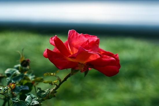 ͼ鿴ԭʼС

:  wavwav1037887521img_0641.jpg
鿴: 609
С:  75.5 KB