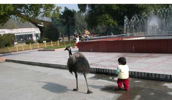 ͼ鿴ԭʼС

:  dscn2477.jpg
鿴: 222
С:  83.5 KB