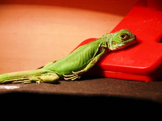 ͼ鿴ԭʼС

:  dscn9912-1.jpg
鿴: 2098
С:  143.0 KB