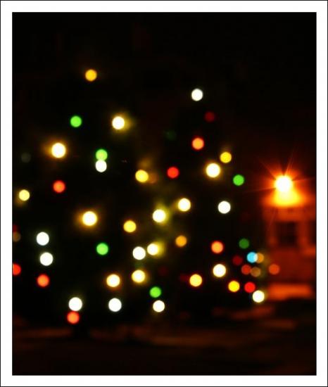 ͼ鿴ԭʼС

:  merry christmas.jpg
鿴: 652
С:  132.8 KB