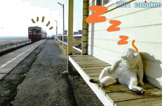 ���ͼ��鿴ԭʼ��С

����:  message1.gif
�鿴����: 268
��С:  141.3 KB