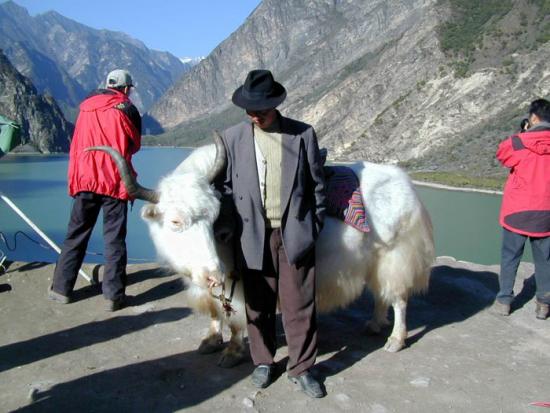 ���ͼ��鿴ԭʼ��С

����:  cow.jpg
�鿴����: 267
��С:  111.5 KB