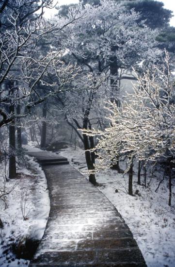 ���ͼ��鿴ԭʼ��С

����:  tree.jpg
�鿴����: 262
��С:  137.5 KB