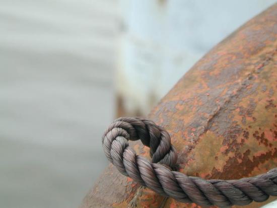 ���ͼ��鿴ԭʼ��С

����:  dscn9872rope.jpg
�鿴����: 325
��С:  60.3 KB