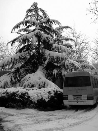 ���ͼ��鿴ԭʼ��С

����:  dscn3775.jpg
�鿴����: 209
��С:  71.9 KB