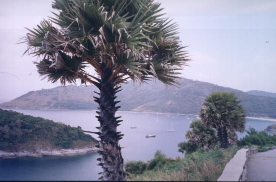 ���ͼ��鿴ԭʼ��С

����:  peninsula.jpg
�鿴����: 252
��С:  105.9 KB