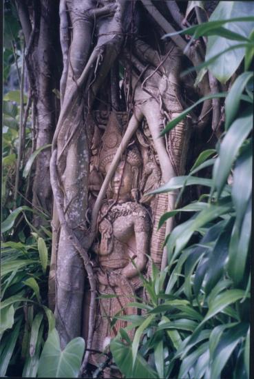 ���ͼ��鿴ԭʼ��С

����:  treebuddha.jpg
�鿴����: 268
��С:  131.8 KB