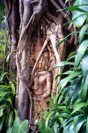 ���ͼ��鿴ԭʼ��С

����:  treebuddha.jpg
�鿴����: 254
��С:  122.7 KB