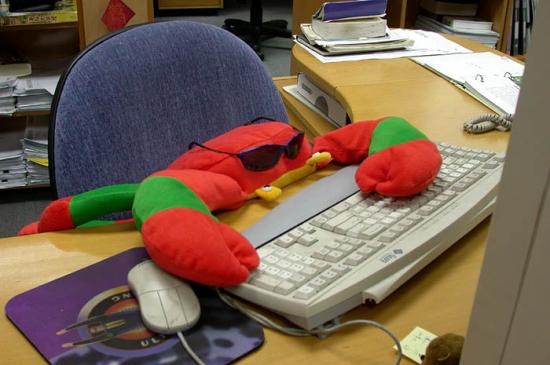 ���ͼ��鿴ԭʼ��С

����:  crab.jpg
�鿴����: 586
��С:  66.8 KB