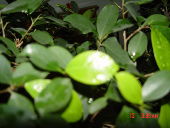 ͼ鿴ԭʼС

:  dsc00396a.jpg
鿴: 199
С:  144.0 KB