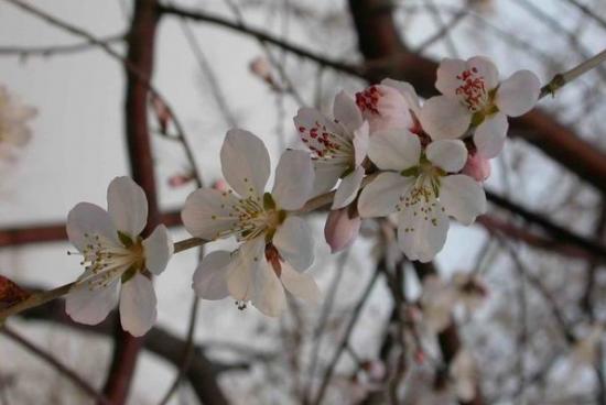 ���ͼ��鿴ԭʼ��С

����:  resize of 1.jpg
�鿴����: 274
��С:  130.0 KB