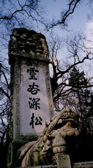 ���ͼ��鿴ԭʼ��С

����:  stone.jpg
�鿴����: 341
��С:  129.3 KB