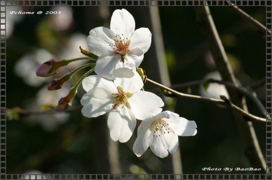 ͼ鿴ԭʼС

:  img_0018-2.jpg
鿴: 343
С:  186.2 KB