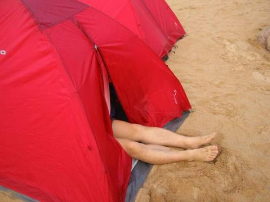���ͼ��鿴ԭʼ��С

����:  109-0943_img.jpg
�鿴����: 356
��С:  27.4 KB