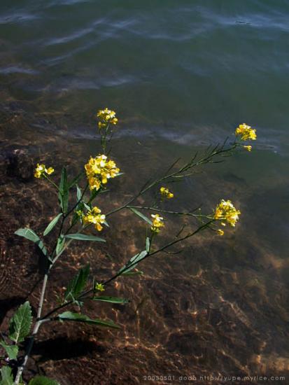 ͼ鿴ԭʼС

:  00lake.jpg
鿴: 239
С:  67.2 KB