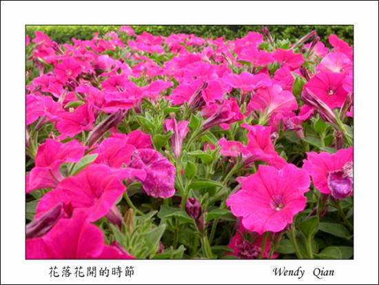 ���ͼ��鿴ԭʼ��С

����:  032 .jpg
�鿴����: 7691
��С:  180.2 KB