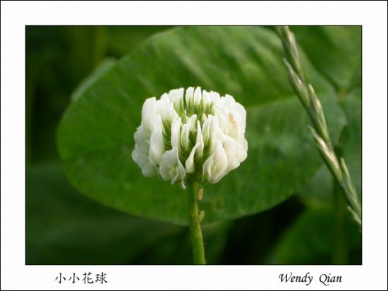 ���ͼ��鿴ԭʼ��С

����:  064.jpg
�鿴����: 585
��С:  102.3 KB