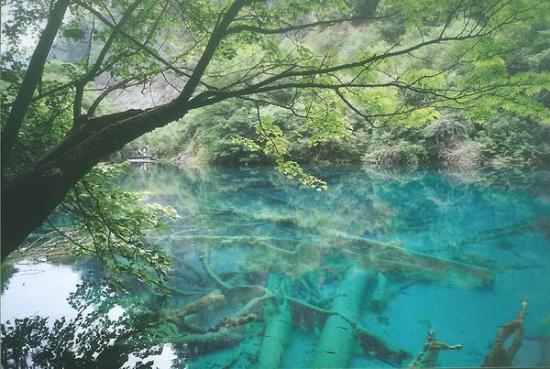 ͼ鿴ԭʼС

:  watertree.jpg
鿴: 1419
С:  69.8 KB