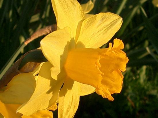 ���ͼ��鿴ԭʼ��С

����:  flower.jpg
�鿴����: 370
��С:  104.7 KB