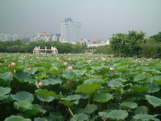 ���ͼ��鿴ԭʼ��С

����:  00dscf0003.jpg
�鿴����: 273
��С:  119.5 KB