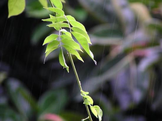 ���ͼ��鿴ԭʼ��С

����:  resize of p6070027.jpg
�鿴����: 228
��С:  31.7 KB