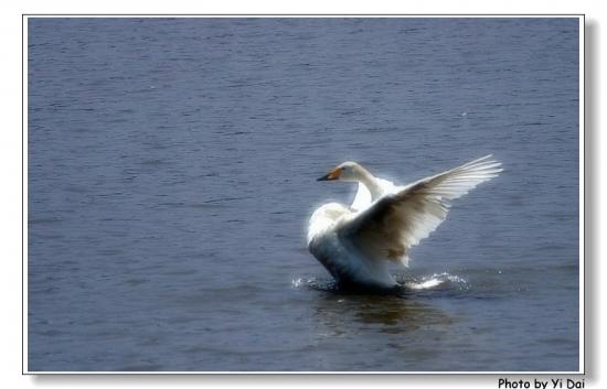 ���ͼ��鿴ԭʼ��С

����:  i can fly.jpg
�鿴����: 296
��С:  128.2 KB