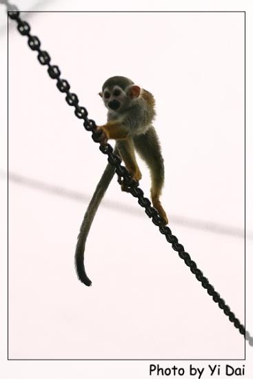 ���ͼ��鿴ԭʼ��С

����:  acrobat.jpg
�鿴����: 274
��С:  42.3 KB