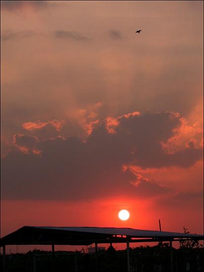 ���ͼ��鿴ԭʼ��С

����:  dscn0388.jpg
�鿴����: 242
��С:  70.5 KB