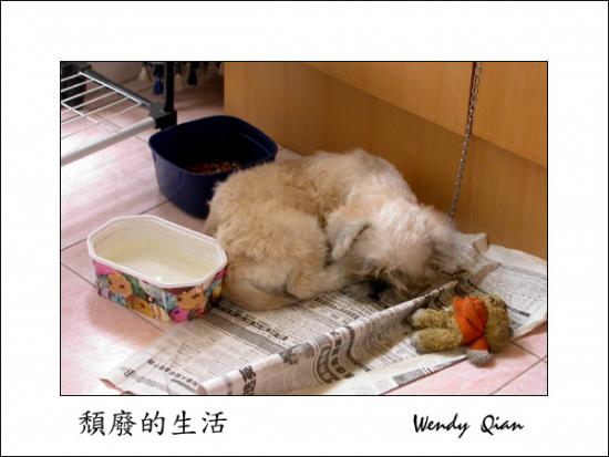 ���ͼ��鿴ԭʼ��С

����:  682.jpg
�鿴����: 1185
��С:  126.4 KB
