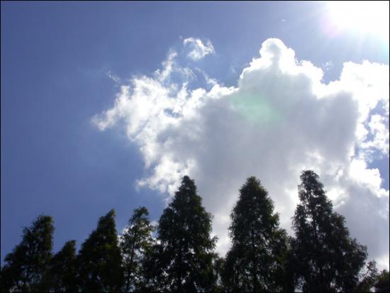 ���ͼ��鿴ԭʼ��С

����:  dscn0890.jpg
�鿴����: 388
��С:  102.7 KB