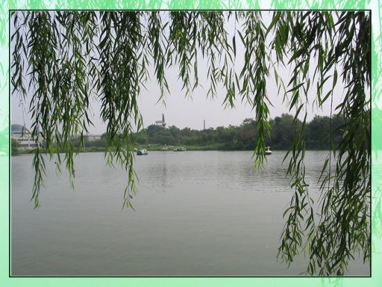 ���ͼ��鿴ԭʼ��С

����:  109_0965.jpg
�鿴����: 268
��С:  142.9 KB