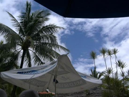 ���ͼ��鿴ԭʼ��С

����:  re-exposure of resize of p1020220.jpg
�鿴����: 501
��С:  61.0 KB