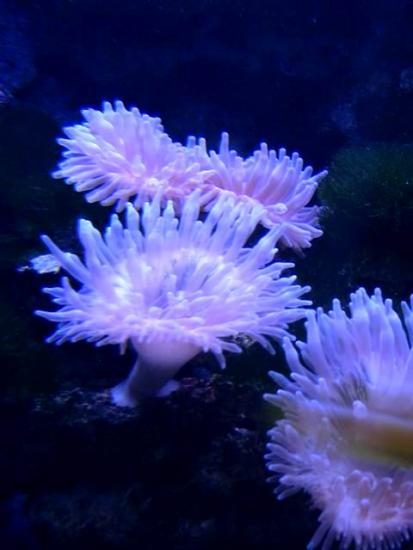 ���ͼ��鿴ԭʼ��С

����:  re-exposure of resize of p1020404.jpg
�鿴����: 543
��С:  35.3 KB