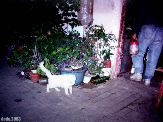 ���ͼ��鿴ԭʼ��С

����:  1cat.jpg
�鿴����: 256
��С:  66.6 KB