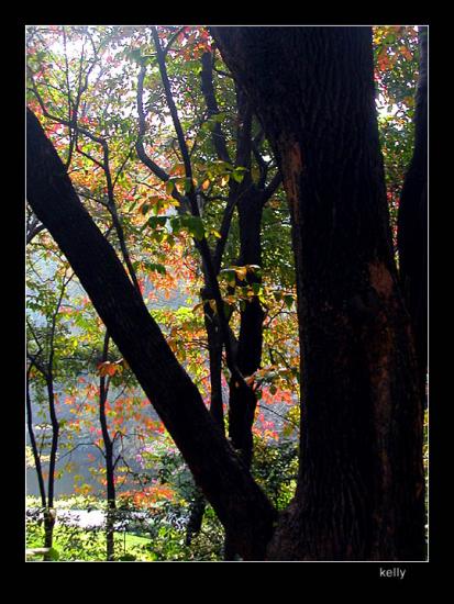 ���ͼ��鿴ԭʼ��С

����:  dscn3405.jpg
�鿴����: 299
��С:  162.2 KB