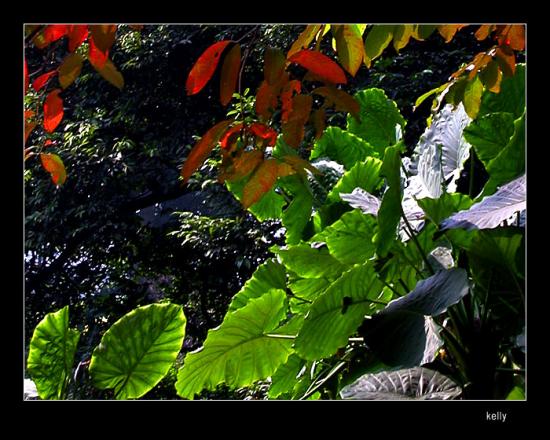 ���ͼ��鿴ԭʼ��С

����:  dscn3416.jpg
�鿴����: 315
��С:  182.2 KB