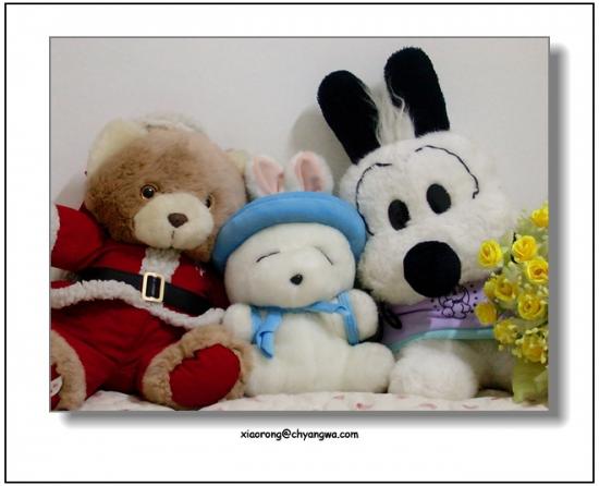 ���ͼ��鿴ԭʼ��С

����:  dscn02771.jpg
�鿴����: 393
��С:  164.5 KB
