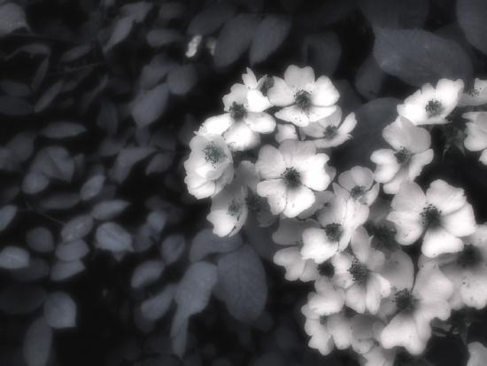 ͼ鿴ԭʼС

:  p1090643-1.jpg
鿴: 336
С:  103.4 KB